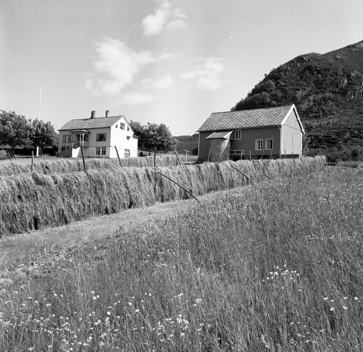 Prospektfotografi av gården Reitehaugen, vest for Veibust på Sula.