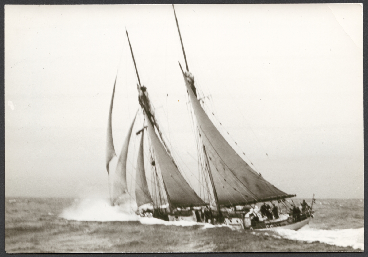 Bilden visar en av Marinens skolskepp Gladan eller Falken under segling i hårt väder. Fartyget har hög fart och förstäven dyker precis ned i en stor våg.