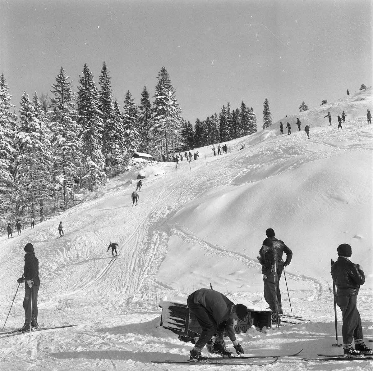 Skidlift i Ånnaboda.
19 Februari 1958.