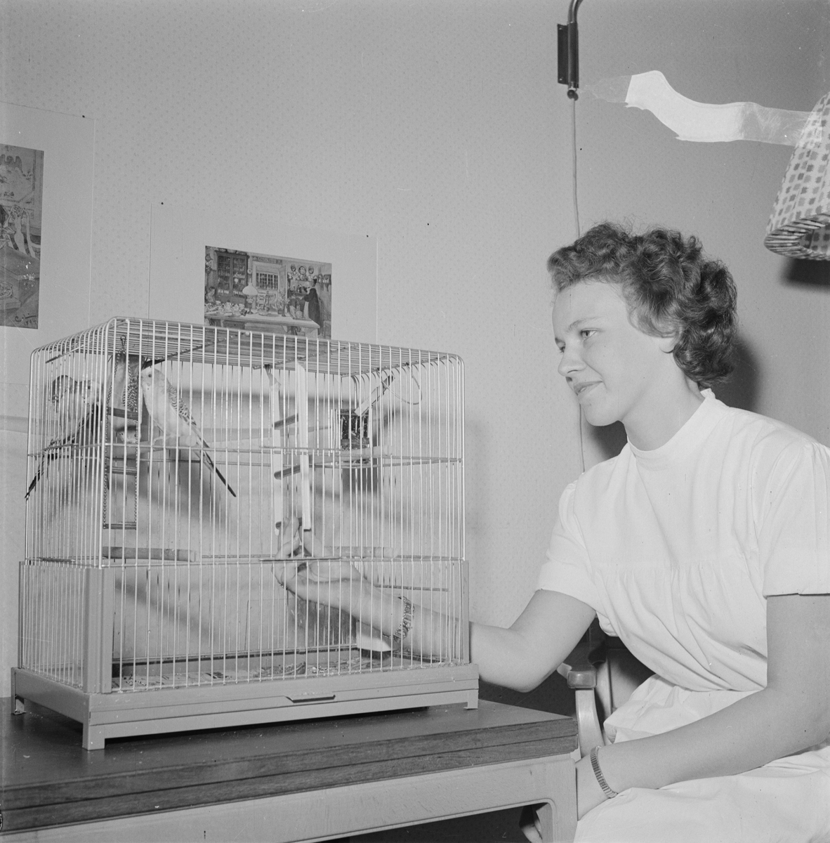 Sköterska och en undulat, pensionärshemmet, Tierp, Uppland 1955