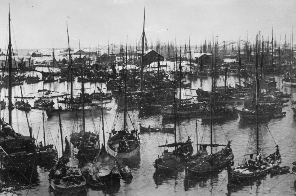 Lofotfiske. Svolvær havn, mange båter på havna. 1891