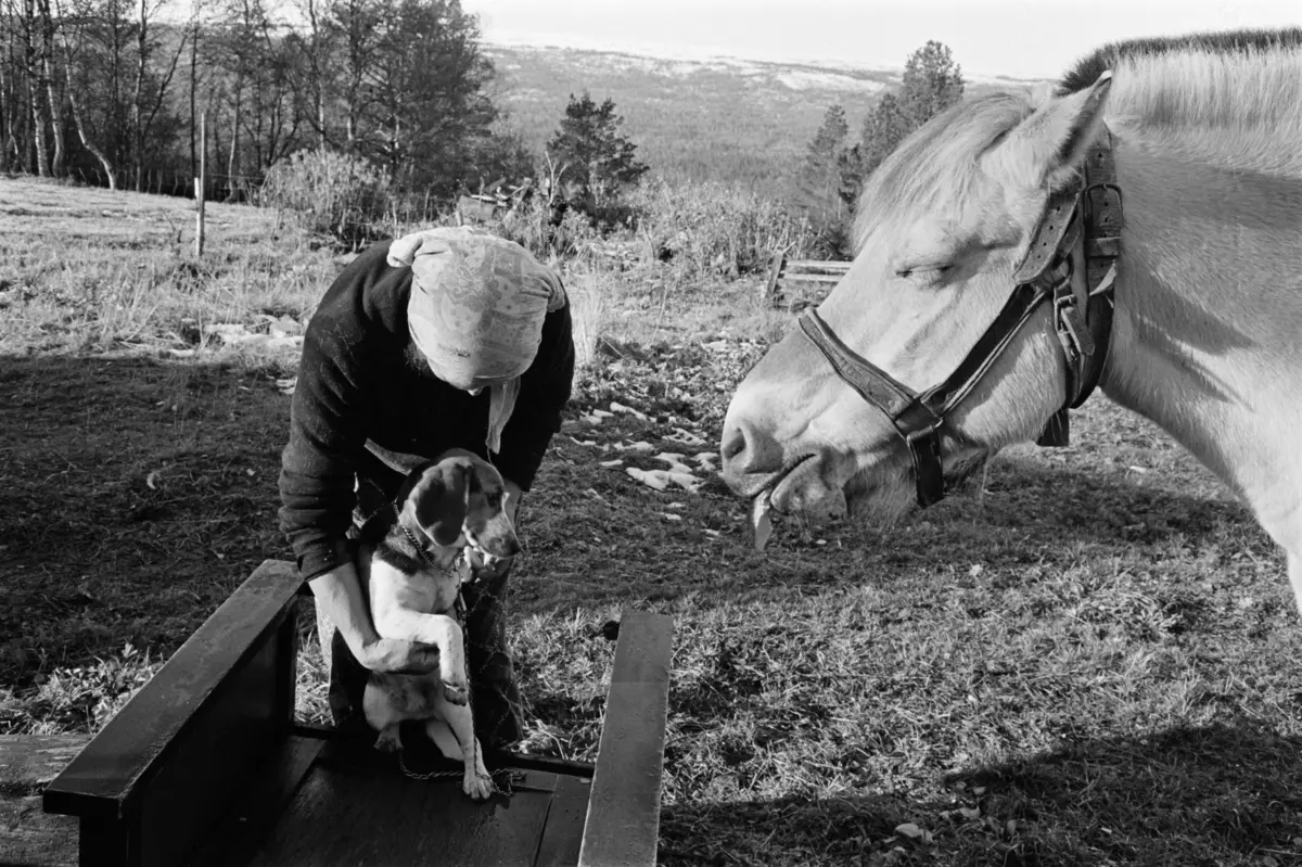 Røros. Div opptak