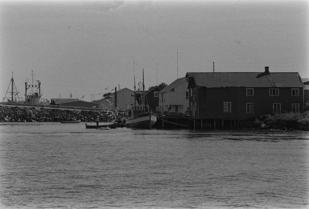 Kai og båter m.m.. Bilde merket Husvær, men bildet er identifisert som kai på Brasøy.