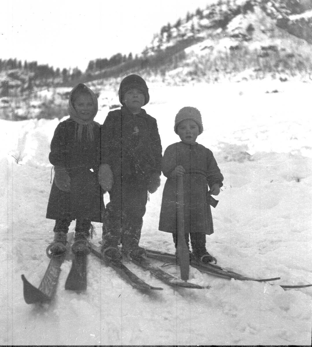 Fotoarkiv etter Aanund Olavson Edland. Utendørsportrett av Sigrid, Olav og Andres Aa. Edland på ski i vinterlandskap.