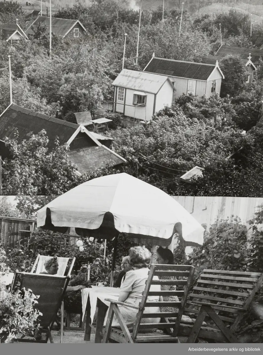 Vålerenga. Kolonihagen på Etterstad. September 1946