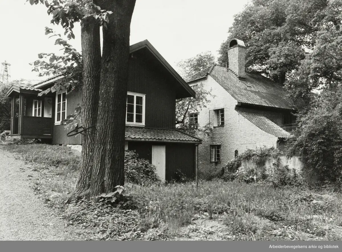 Frogner. Område mellom Fuglehauggaten og Prof. Dahls gate. Juni 1980
