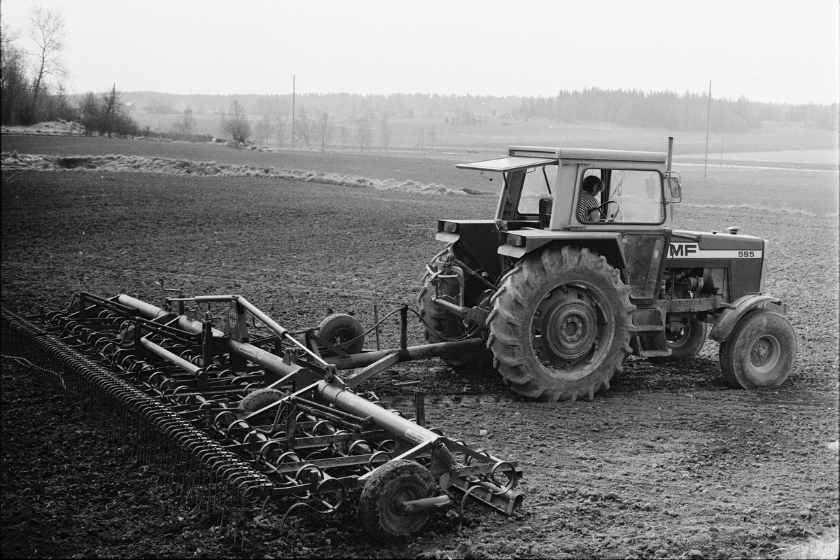Jordbrukare Kerstin Leijon harvar åkern, Stora Bärsta, Uppsala-Näs socken, Uppland maj 1981