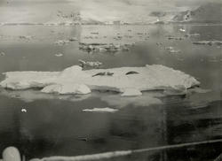 Ellsworth-ekspedisjonen - M/S Fanefjord fra Fuglset til Antarktis