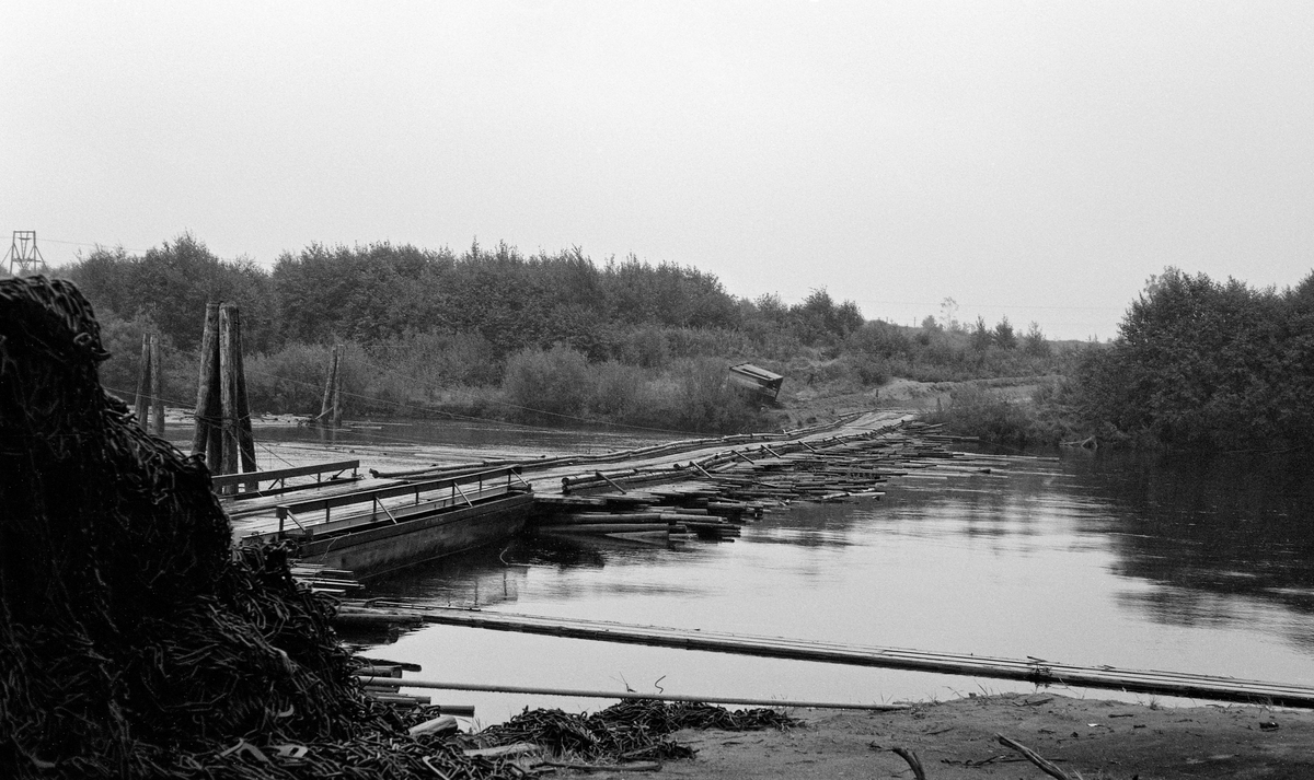 Pongtongbru over en stilleflytende del av Klarälven i Värmland, lagd av «moser» (tømmerbunter).  Fotografiet er tydeligvis tatt i nærheten av et fløtingsanlegg med dykdalber (til venstre) og en flåtegang i forgrunnen.  Opptaket skal være fra 1961.