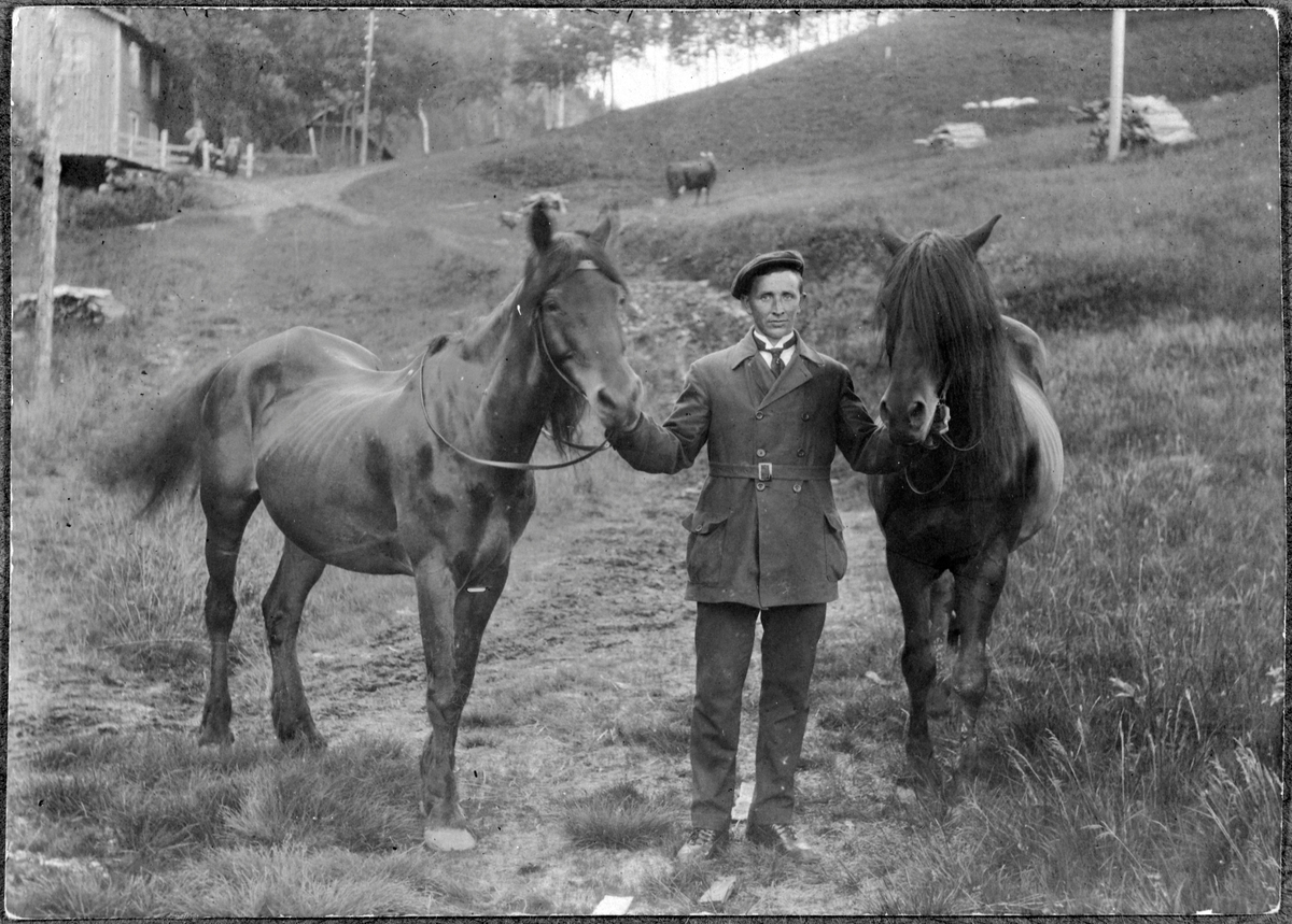 Sigurd Dueskar med to hester, Klæbu.