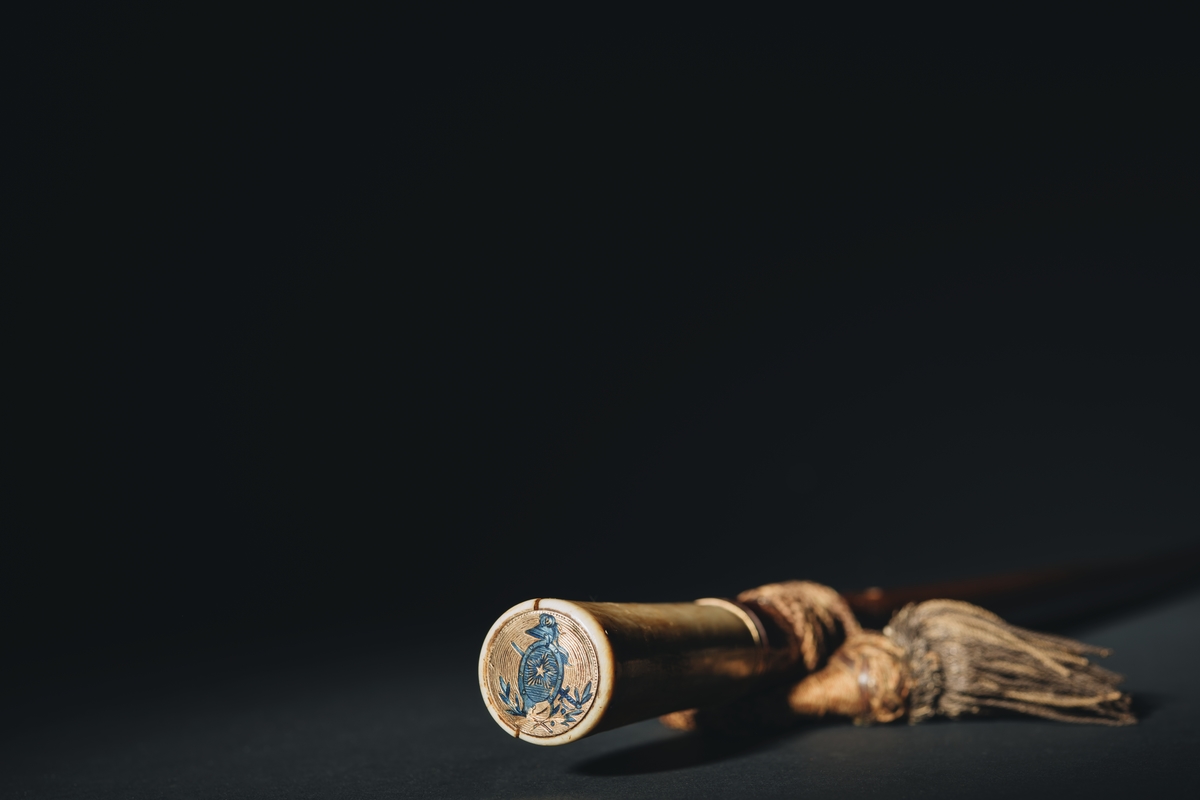Kommandostav samt gåvobrev. Av spanskt rör med handtag av elfenben och doppsko av mässing. Handtagets nedre ände är försedd med en 3 mm bred ring av förgylld metall med lagerkrans och ornament av blå emalj. I käppens övre cirkelrunda ände är infälld en rund skiva av guld, 23 mm diameter. Skivans runda fält innehåller vissa emblem i blå emalj, dels en sköld av antik form med förgylld, strålomgiven, femuddig stjärna, i mitten och vid övre spetsen en i profil ställd antik hjälm med fjäderbuske, dels en skölden korsande, men under densamma lagd värja med spetsen riktad uppåt (detaljer, något fritt utformade från adliga ättens Nordenskjölds vapen), dels under dessa emblem två korslagda lagerkvistar. Fältens botten ciselerade med delar av koncentriska cirklar, dess ytterkant med svagt antydd pärlrad, 103 mm, nedom käppens övre ände är röret genomborrat av ett ovalt, med förgylld metall, guld, fodral hål, L= 11 mm B = 7 mm. I hålet är fästad en flätad, tofsförsedd snodd (portepé) av mörknad guldtråd och gråblekt, måhända tidigare blått silke.

"Gåvobrevet jämte stav överlämnades till chefen å jagaren Nordenskjöld den 9 oktober 1928 och skall staven förvaras å lämplig plats å fartyget och då fartyget utrangeras överlämnad till marinmuseet." Förvaras inom pärm av skinn, ljusbrunt, med ätten Nordenskjölds vapen i olika färger. Under vapnet: H.M. Nordenskjöld.

Pärmens längd: 435 mm, bredd: 265 mm.