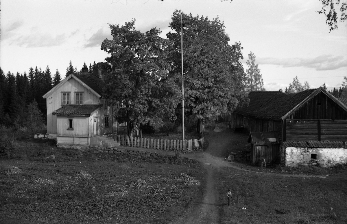 Seks bilder fra gården Gimle på Krabyskogen, Østre Toten, høsten 1955.