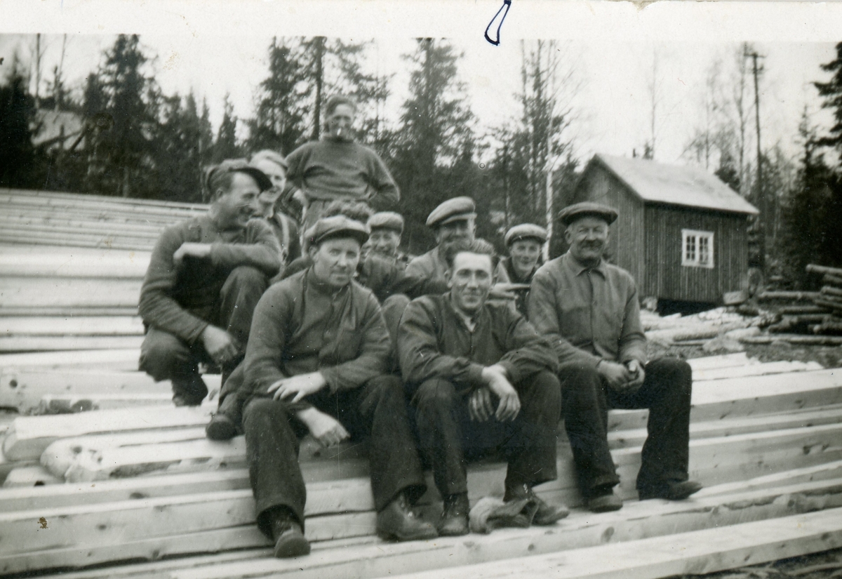 Sagmannskap på Tretterudsaga ca.1949.
framme frå v.Torleiv Anderdal.
bakanfor Torleiv sit på huk Oluf Brenna.