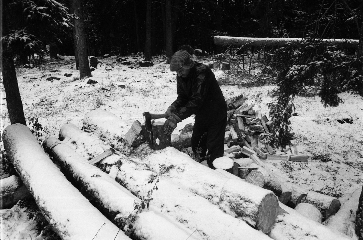 Lantbrukare Birger Mattsson arbetar i skogen, Lönnholmen, Gräsö socken, Uppland 1994 - 1995