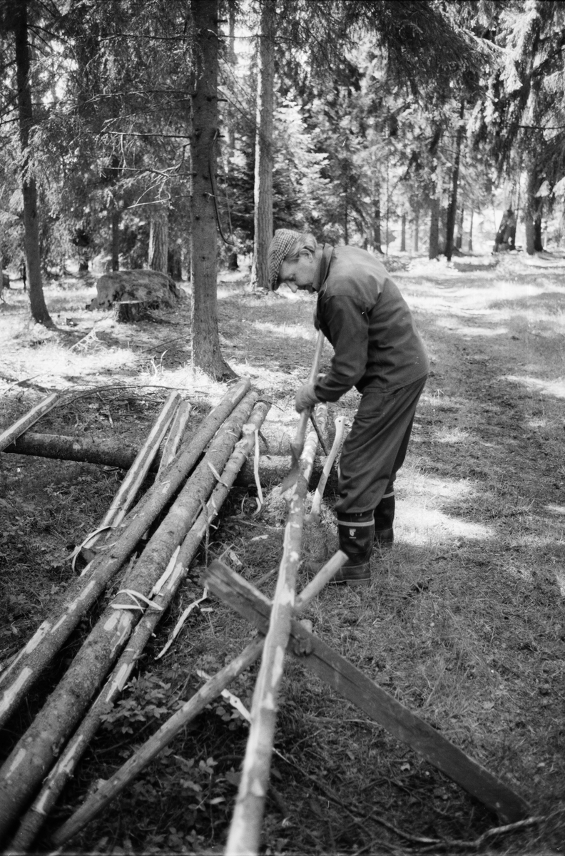 Lantbrukare Birger Mattsson arbetar i skogen, Lönnholmen, Gräsö, Uppland 1994 - 1995