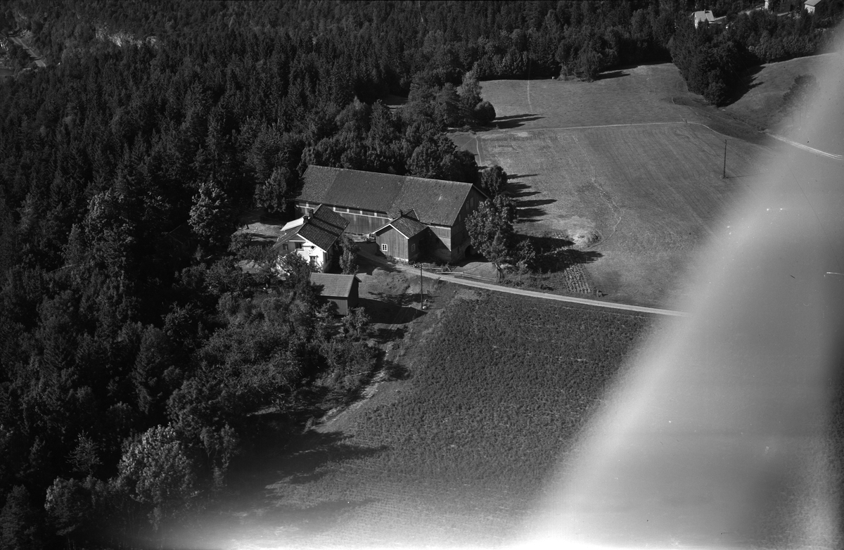 Flyfotoarkiv fra Fjellanger Widerøe AS, fra Porsgrunn Kommune. Stridsklev gård, vestjordet.  Fotografert av Otto Hansen, 14.06.1955.