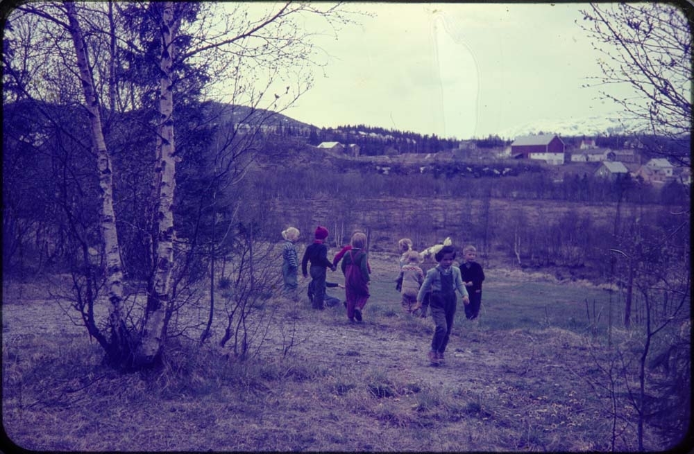 Kippermoen barnepark, 1961-62. Mange barn ute og leker og plukker blomster.
