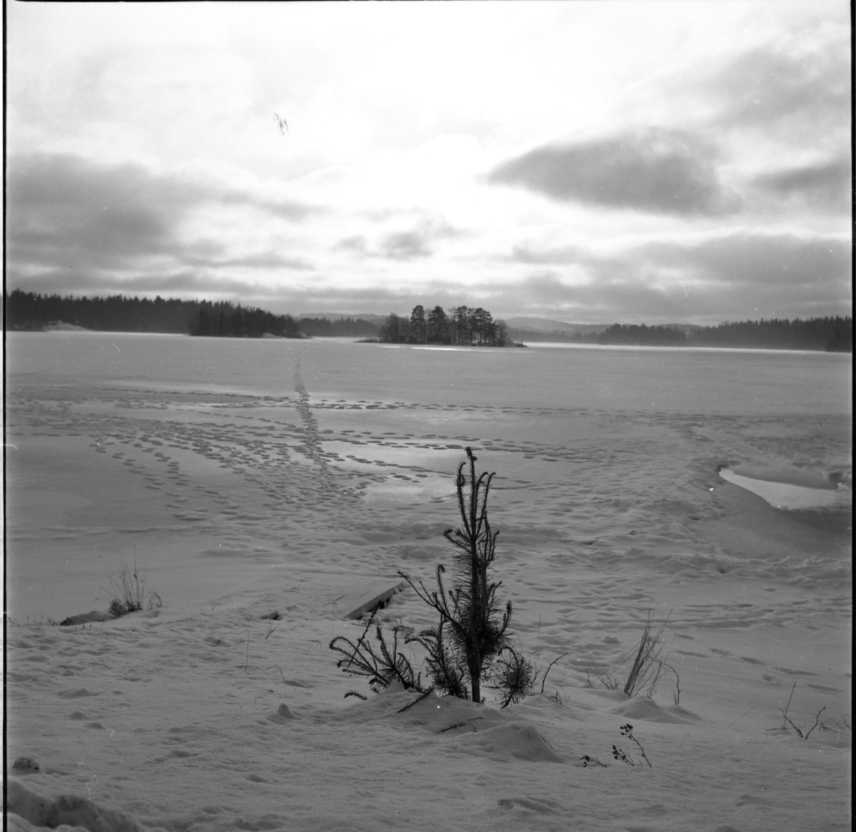 Vinterlandskap. Frusen sjö i skymningsljus, möjligen Ören i Örserum.