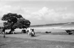 Fra strandlinjen. Galle, Ceylon