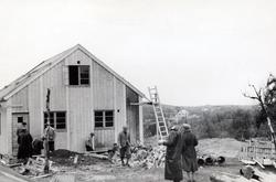 Det første permanente lemmehus i Bjørnevatn, 1946. Bilde fra