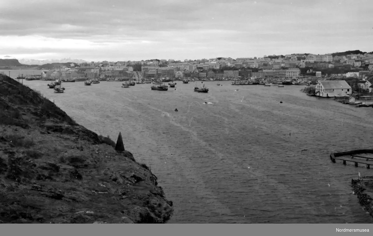 Foto av fiskeflåten i havnebassenget i Kristiansund. Datering er i følge fotografens protokoller 1961. Fotograf er Nils Williams. Fra Nordmøre museums fotosamlinger.