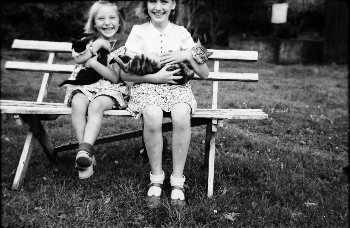 Två flickor gosar med var sin katt på en trädgårdsbänk.
(Se även bildnr EA1042 med flickan till höger)