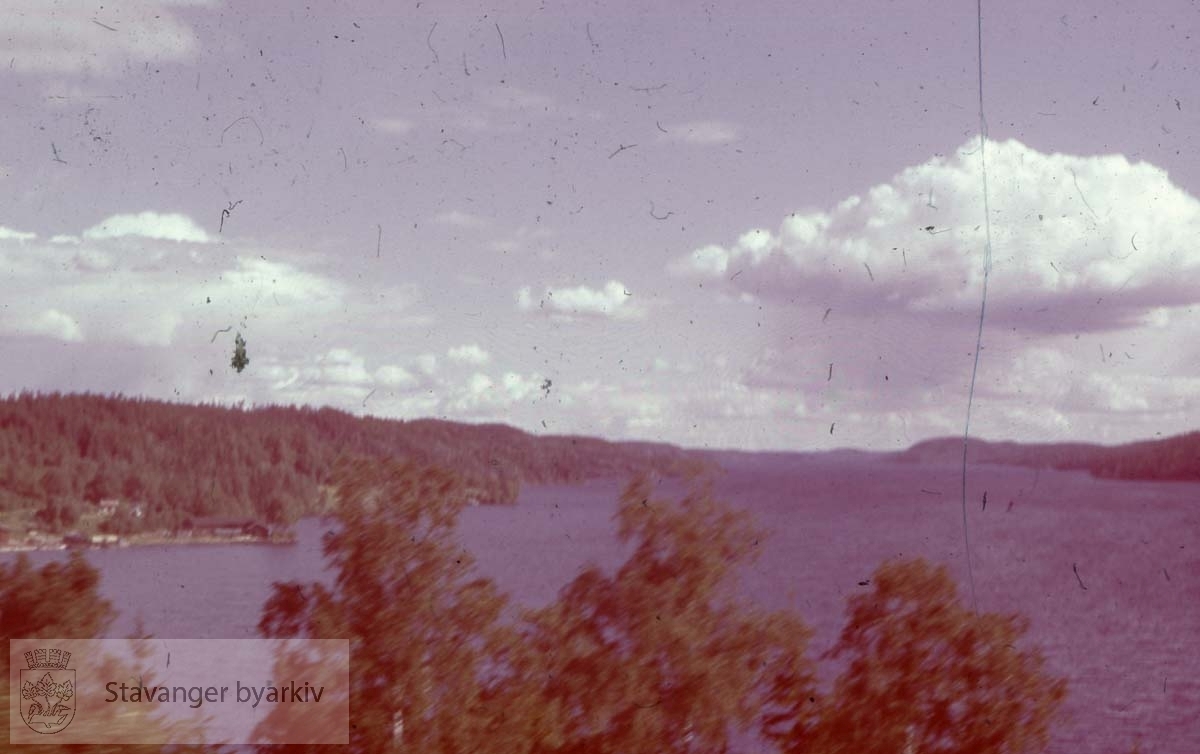 Utsikt over fjord