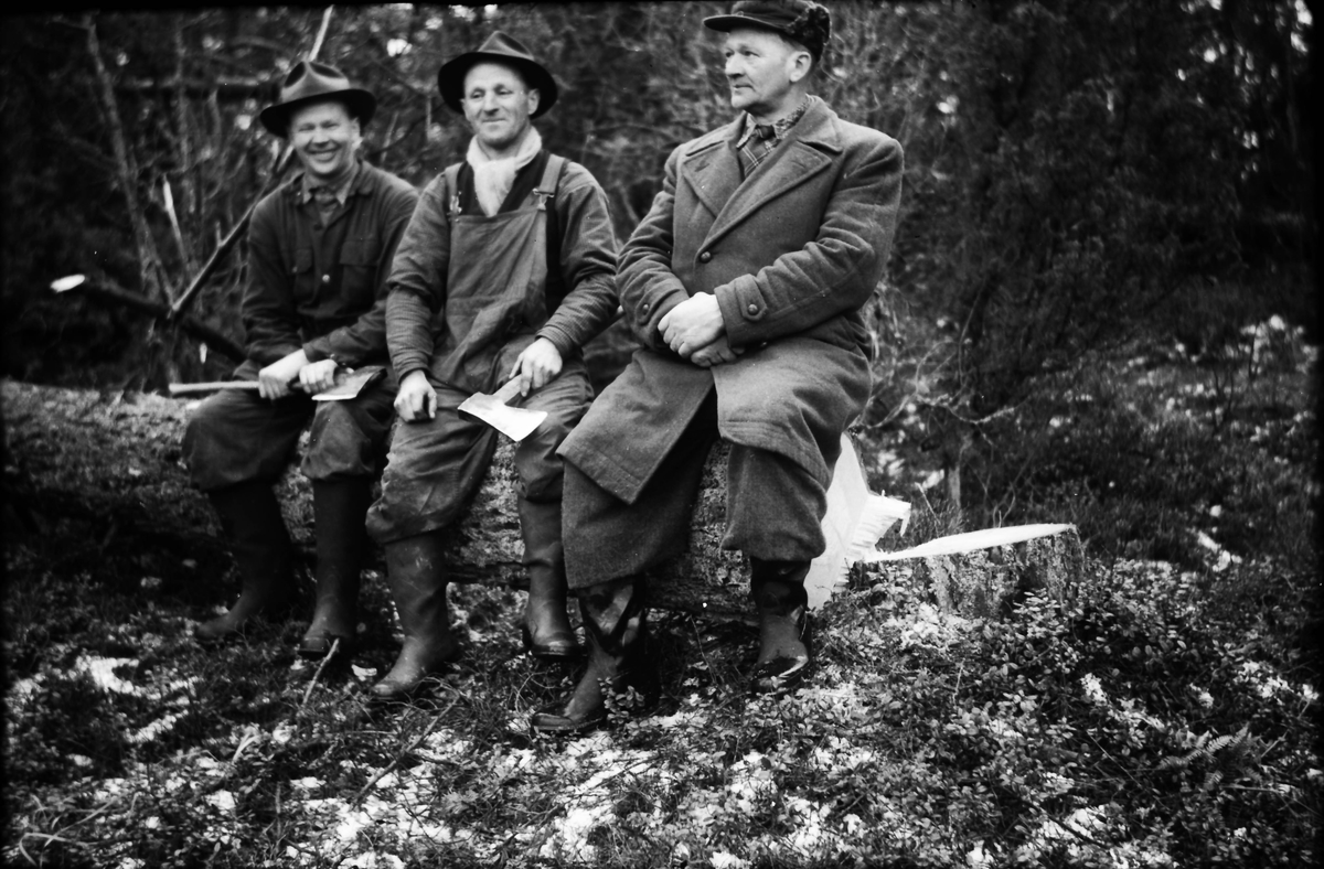 Tre skogsarbetare sitter på en nyfälld stock: Viktor i Storåker i mitten med John "på Centralen" Johnsson till höger och hans bror Erik till vänster. Viktor och Erik håller i varsin yxa.