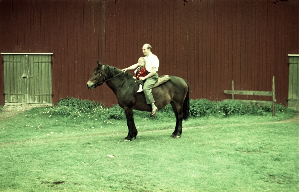 To bilder fra tunet på gården Huset i Askim juni 1957. Arnulf Huset til hest med sønnen Geir. I bakgrunnen på bilde nr. to fra venstre Maren Huset, Karine og Kjell Røisli.