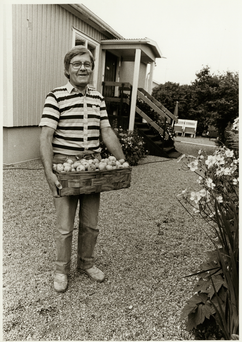 Bernt Ernelli med äppelkorg, pensionerad från Trafikaktiebolaget Grängesberg - Oxelösunds Järnvägar, TGOJ:s vagnverkstad i Eskilstuna.