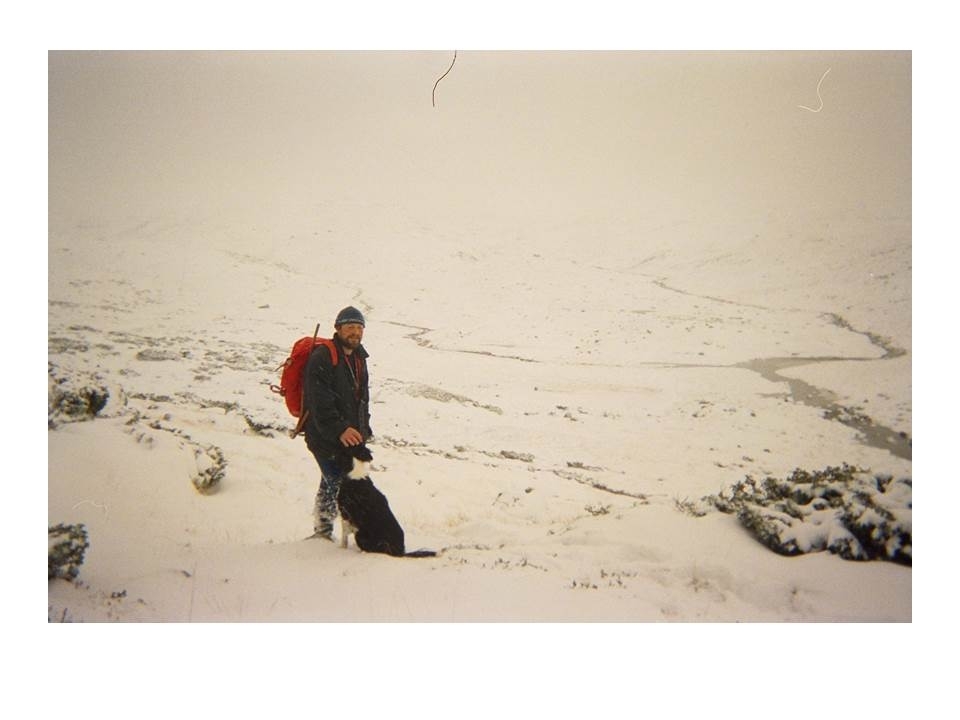Asbjørn Haga og hunden hans under ettersamling av sau på fjellet ein haustdag.