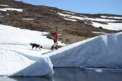 Arild Tuen og en hund på vei opp på ei snøfonn nede ved Rein