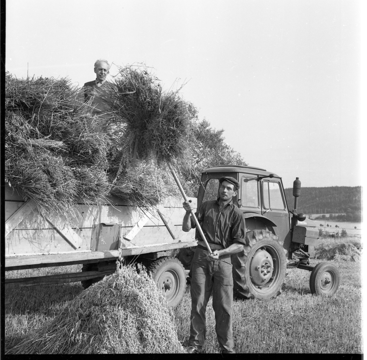 Martin Karlsson i Börjesgården, Mellby, lastar havrekärvar på ett släp som står kopplad till en traktor. På släpet står en okänd man.