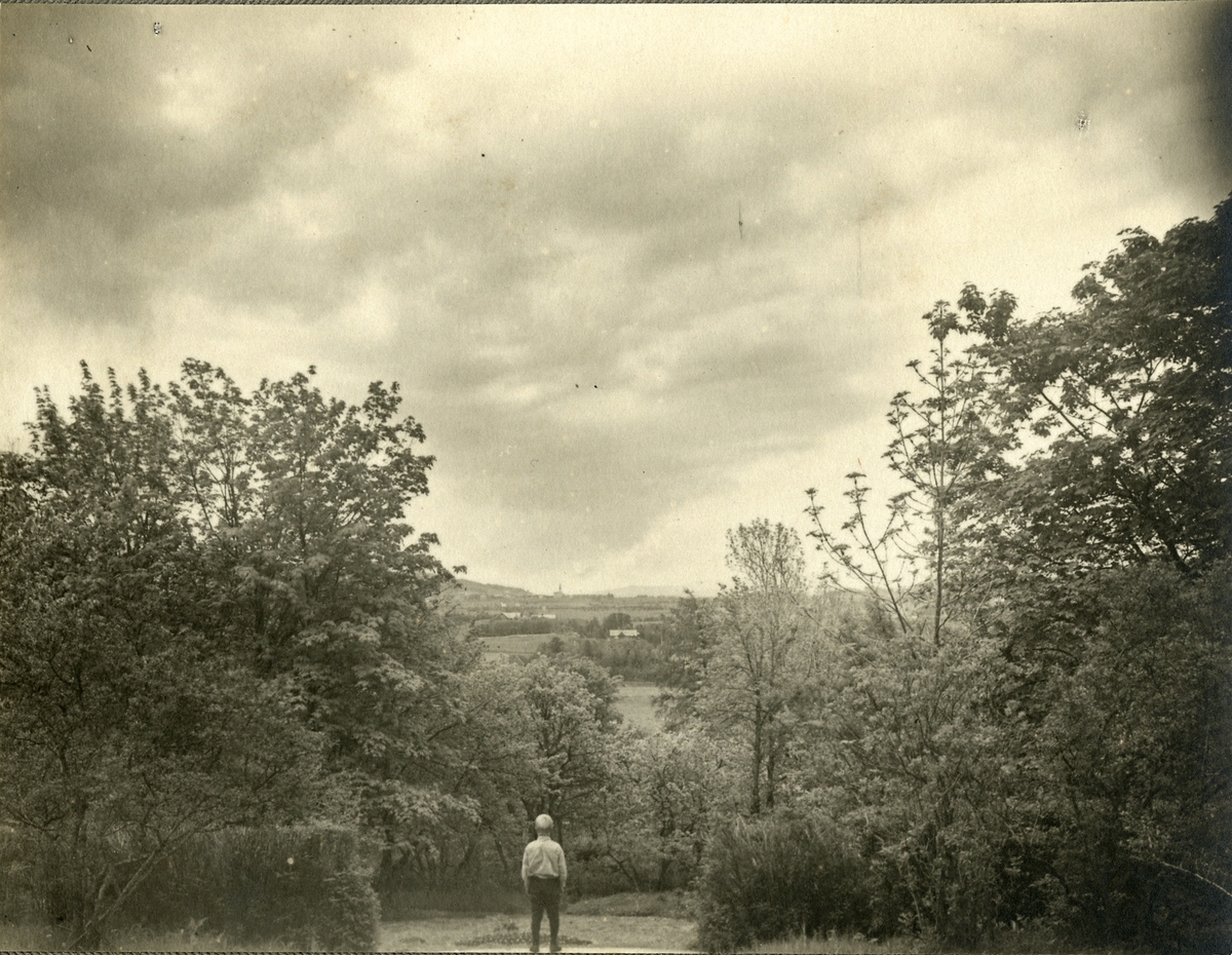Bildet tatt fra Ringve gård, fra trappeavsatsen nedenfor Hovedbygningens sydfasade. Viser parken. Midt i bildet er det en gutt som ser utover landskapet.