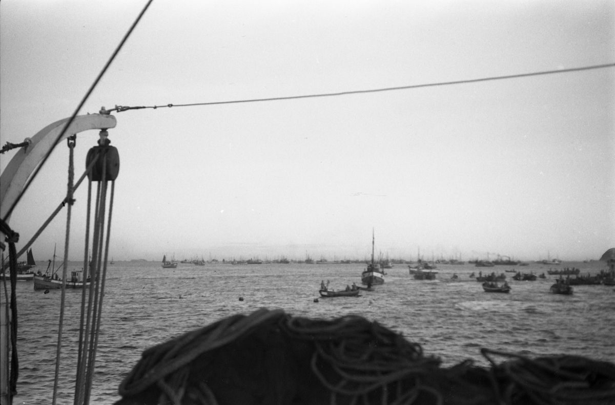 Avfotografert bilde som muligens er tatt fra ei fiskeskøyte. I bakgrunnen en større ansamling av fiskeskøyter, og også noen lettbåter.