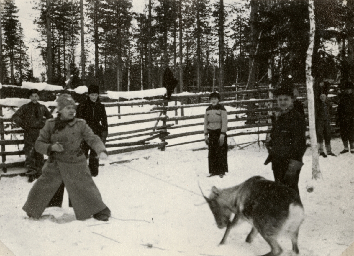 Text i fotoalbum: "Renskiljning vid Töre febr 1940. "