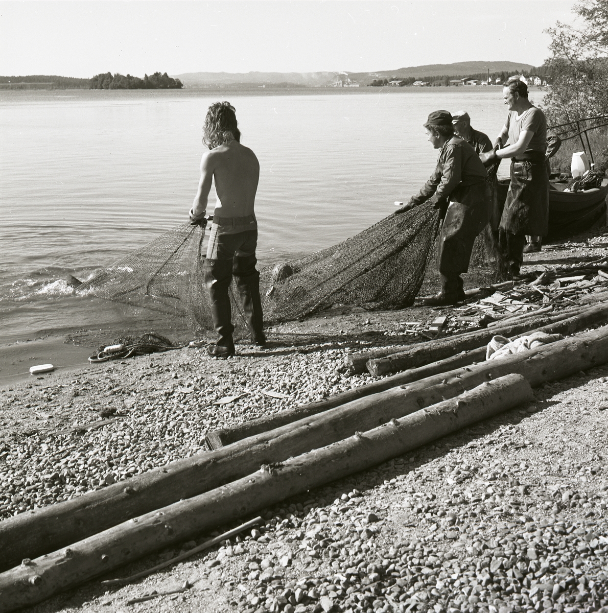Fyra män står på stranden och drar upp ett fiskenät, Ångermanland 1974.