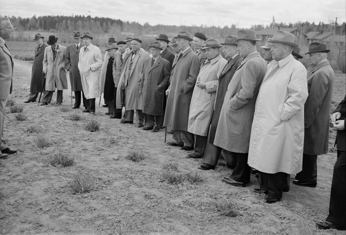 Lantbruksakademien på besök, Lantbrukshögskolan, Ultuna, Uppsala 1949-1951