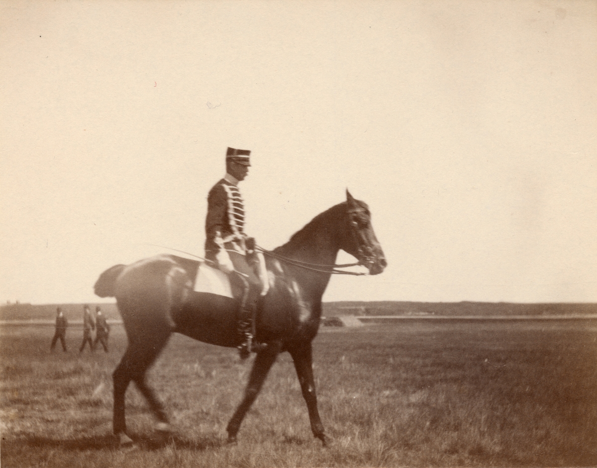 Soldat till häst från Livregementets husarkår.