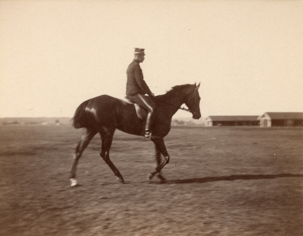 Soldat till häst från Livregementets husarkår.