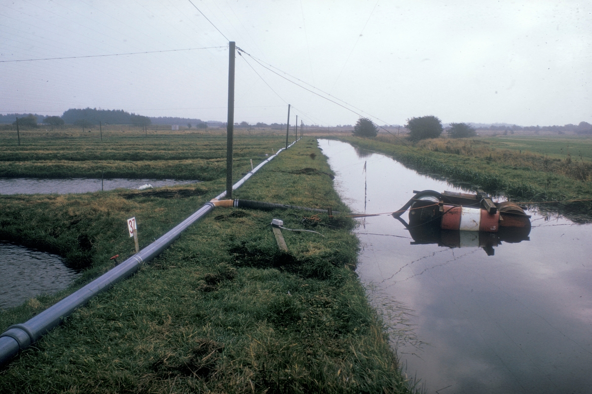 Forsøgsdambruget i Brøns, Danmark, 1974 : En lang kanal eller jorddam på høyre side og flere dammer til venstre. I midten går en lang rørledning. Fra røret går det en slange ut til en liten flåte laget av oljefat. Hele området er dekket av fuglenett.