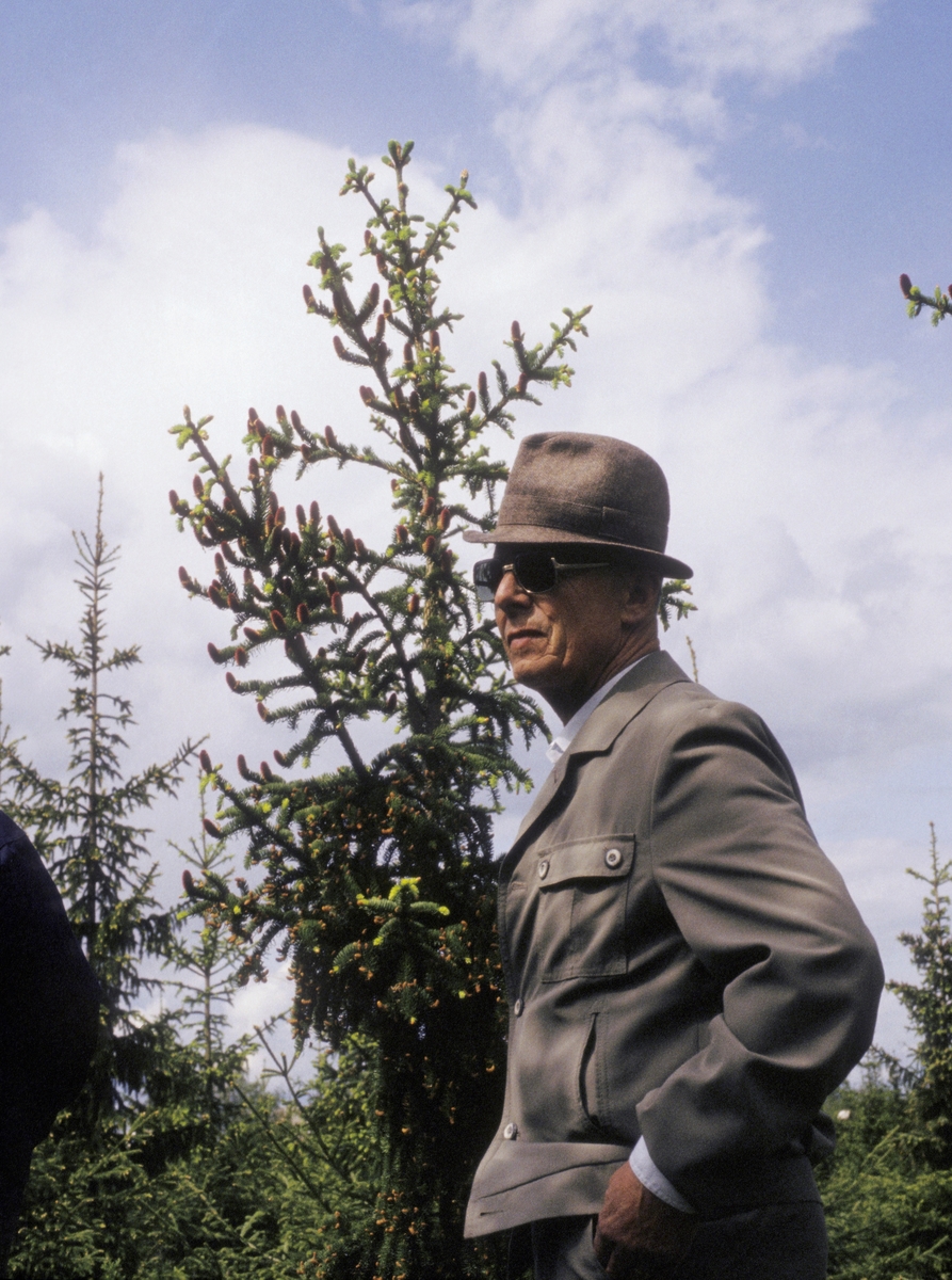Fylkesskogmester Birger Strømsøe (1913-2006), fotografert i skogfrøplantasjen på Jønsberg landbruksskole i Romedal sommeren 1983.  Strømsøe er kledd i grå fritidsdress, han har hatt på hodet og solbriller foran øynene.  Hattebremmen kaster skygge over deler av ansiktet.
