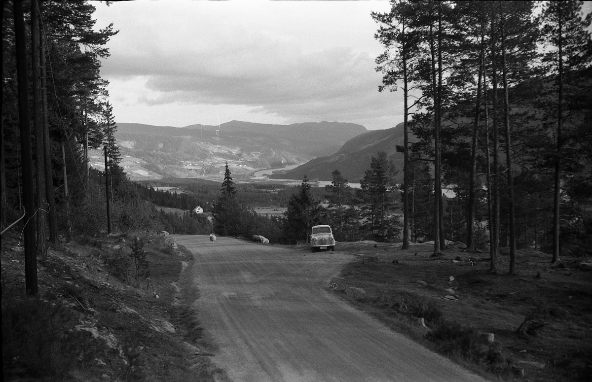 Landskapsbilde tatt fra oppstigningen mot Ringebufjellet, med Lågen nede i dalen. I forgrunnen står bilen til Ole Majer fra Lensbygda, så her er nok han og Sigurd Røisli på tur.
