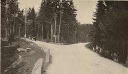 Kongsberg Sølvverks veier 1931