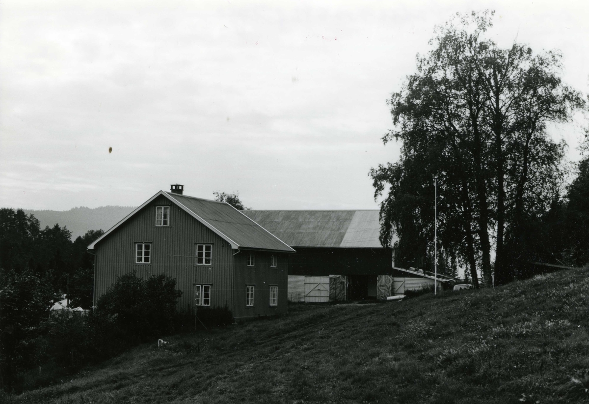 Nølumshaugen, Nordsinni