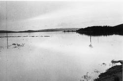 Flaum i Kalbergåna i 1942