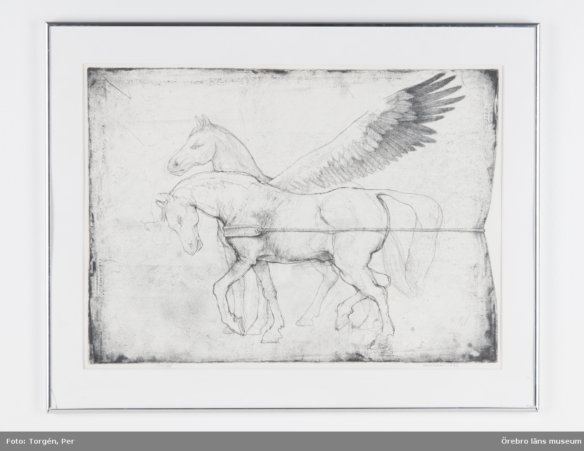 Häst och pegas [litografi]