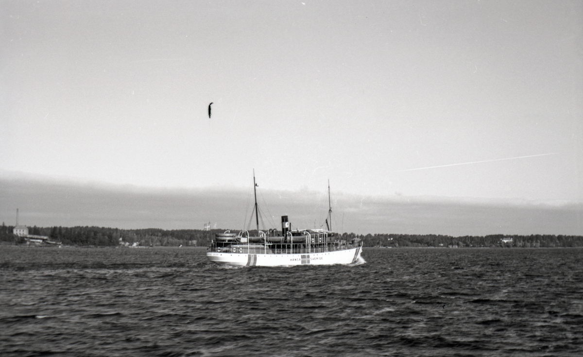 Passagerarfartyget S/S HANSA (1899) med svensk neutralitetsmålning. HANSA sänktes av en sovjetisk ubåt utanför Gotland 1944-11-24.