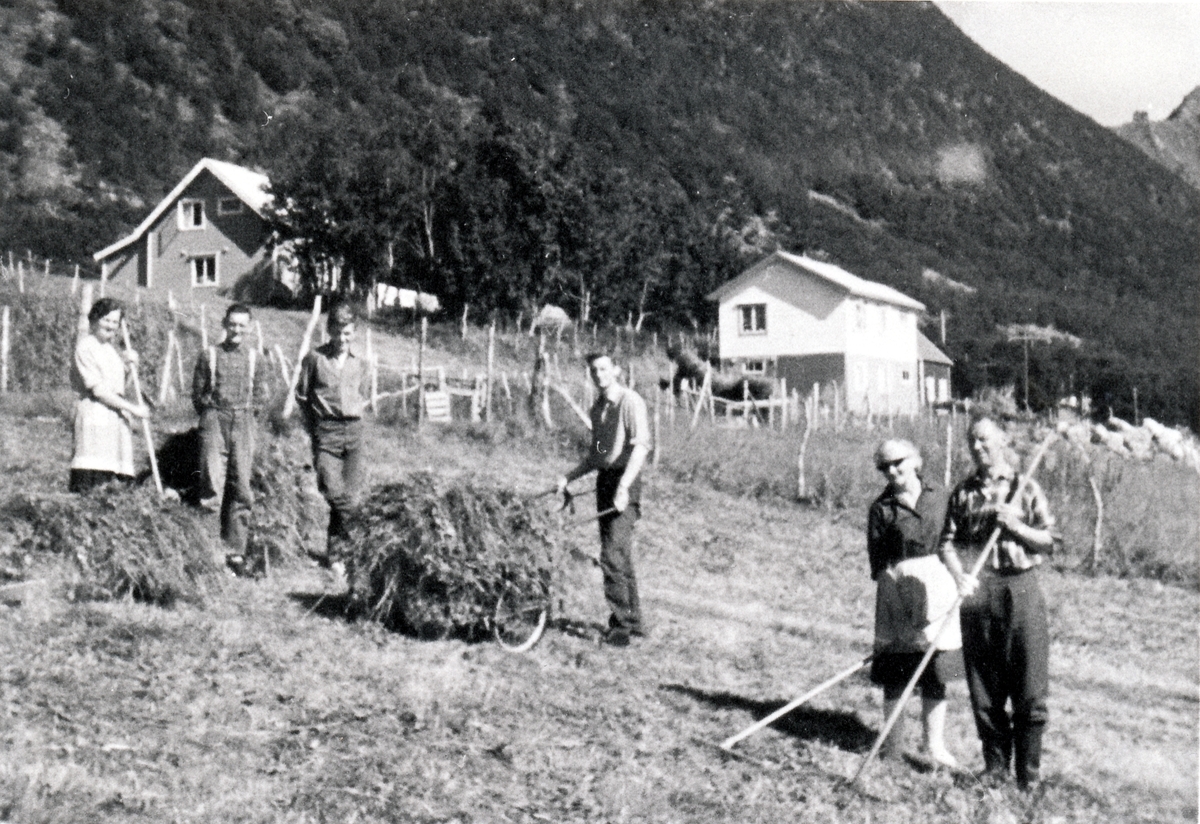 Slåttarbeid på Kaldfarnes, Torsken 1969