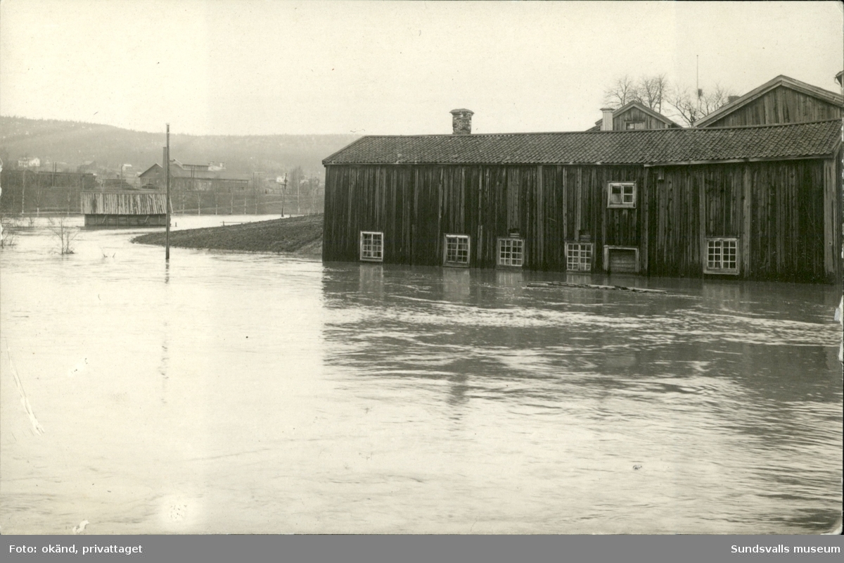 Vykort med motiv av vattennivån i Selångersån vid översvämningarna 1919.